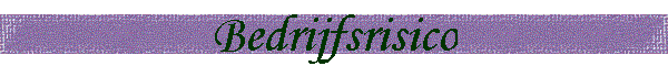 Bedrijfsrisico