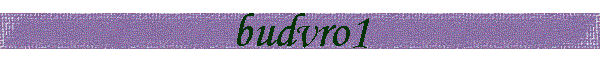 budvro1